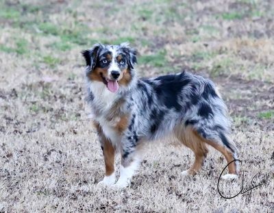 clay_creeks_cast_a_spell