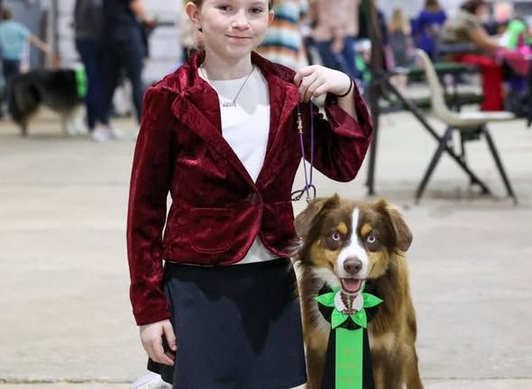 clay_creek_aussies_champ